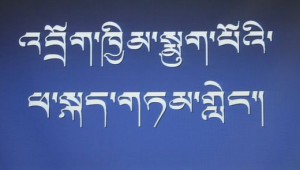 Gli studenti a difesa della lingua tibetana