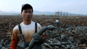 Il patriottismo del gusto