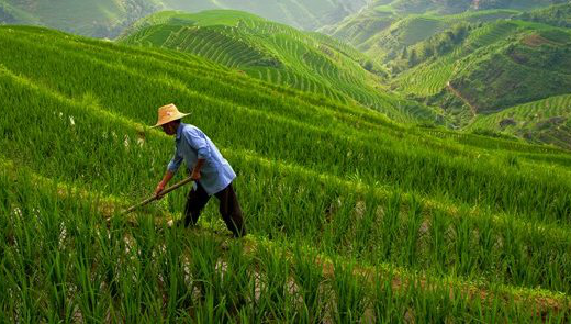 La modernizzazione dell’agricoltura